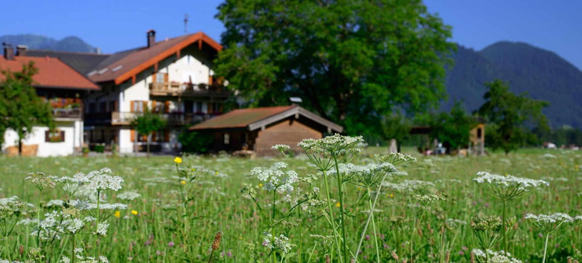 Ferienwohnungen Ramslerhof Inkl. Chiemgaukarte 루폴딩 외부 사진